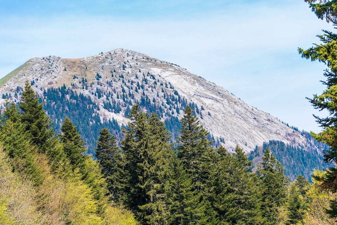 Défense personnelle à Grenoble : le guide complet 2026